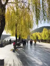 洛陽|龍門石窟|11.29實況