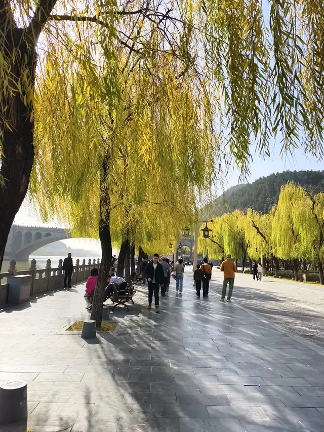 洛陽|龍門石窟|11.29實況 洛陽|龍門石窟|11.29實況