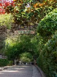 淡季的煙台,簡直是人間理想!