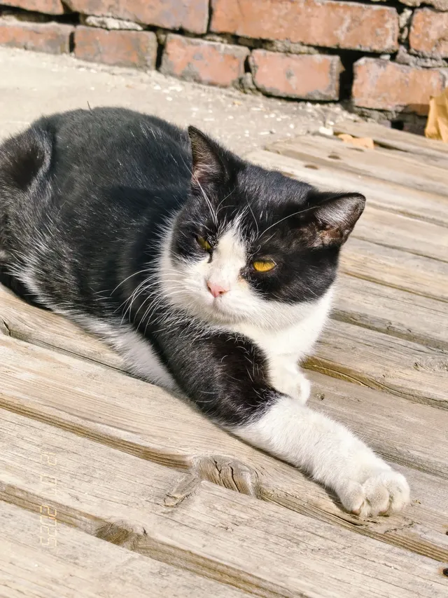 我眼中的青州 我眼中的青州