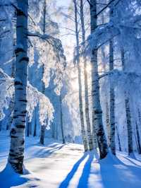 -40℃的極致浪漫漠河4天3夜保姆級攻略