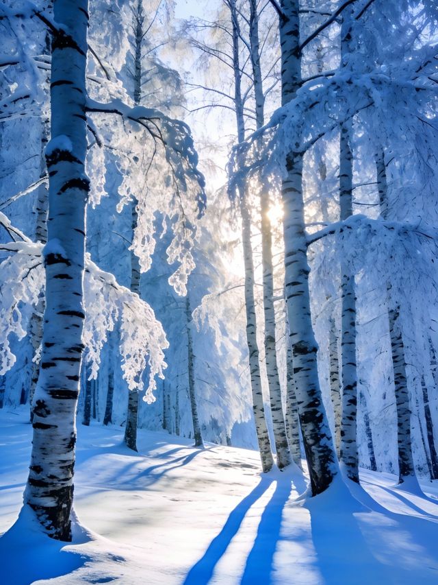 -40℃的極致浪漫漠河4天3夜保姆級攻略