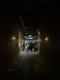 北海道最美的聖誕樹竟然藏在這裡