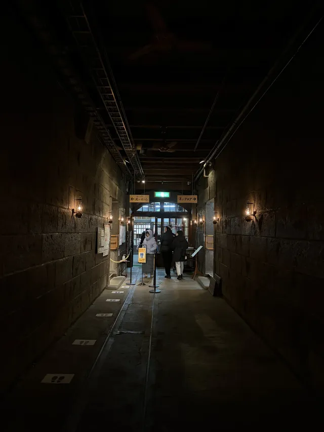 北海道最美的聖誕樹竟然藏在這裡 北海道最美的聖誕樹竟然藏在這裡