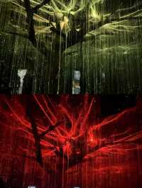 請大數據推給糾結壺口瀑布選陝西或山西的寶