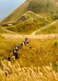 人生建議:11月一定要去看大南山的秋天!