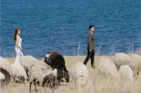 青海湖替我接住了所有沒說出口的我願意