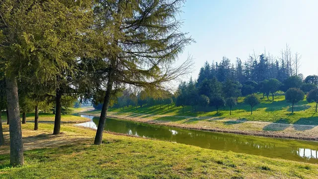 西安高新小森林 西安高新小森林