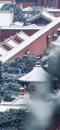 北京下雪啦!一起来看看故宮的雪景吧!