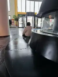 在阿勒泰禾木村,一家超驚喜(Surprise)酒店