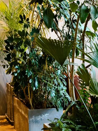 Dalian! The menu at my favorite seaside cafe has been updated!