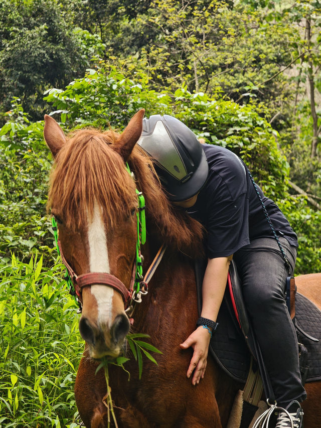 My first horseback riding experience in the Shenzhen forest 🐎 | Trip ...