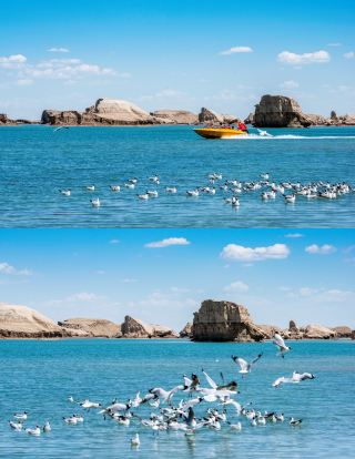 青海安心して行こう！水上ヤルダン夢の旅行ガイド