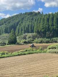 人均4k玩轉日本6日遊