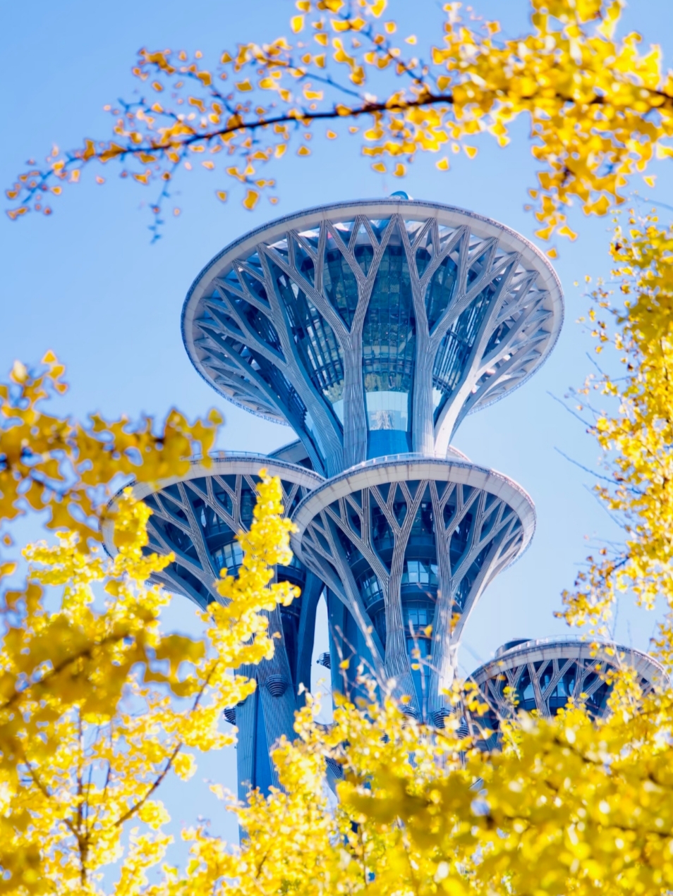 The best places in Beijing are actually free