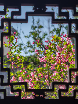 Siapa sih yang Bisa Menolak Itinerary Liburan Keluarga ke Suzhou-Jiaxing-Hangzhou?