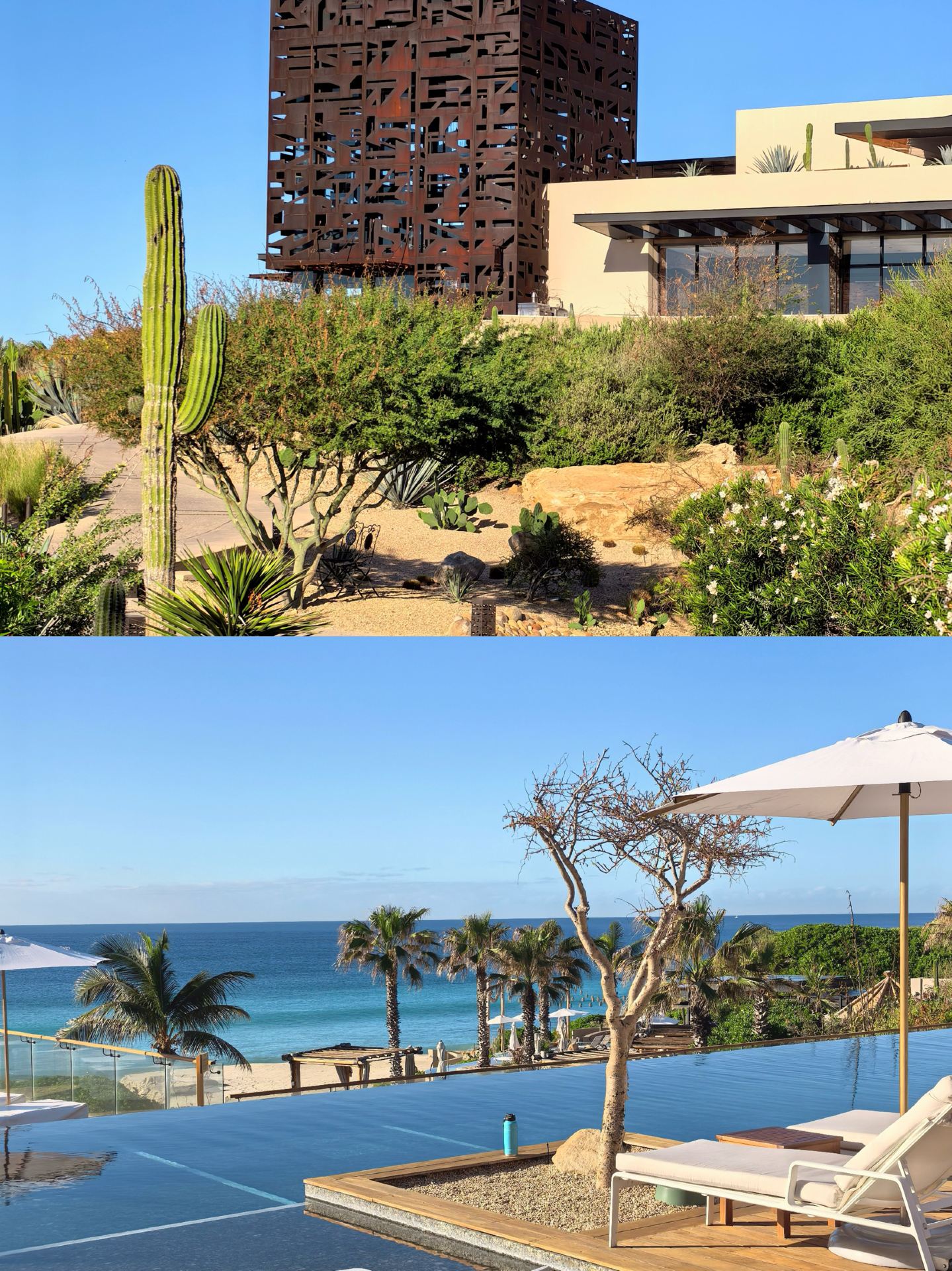 Ultra-luxury in Los Cabos | Half cactus wilderness, half azure Pacific