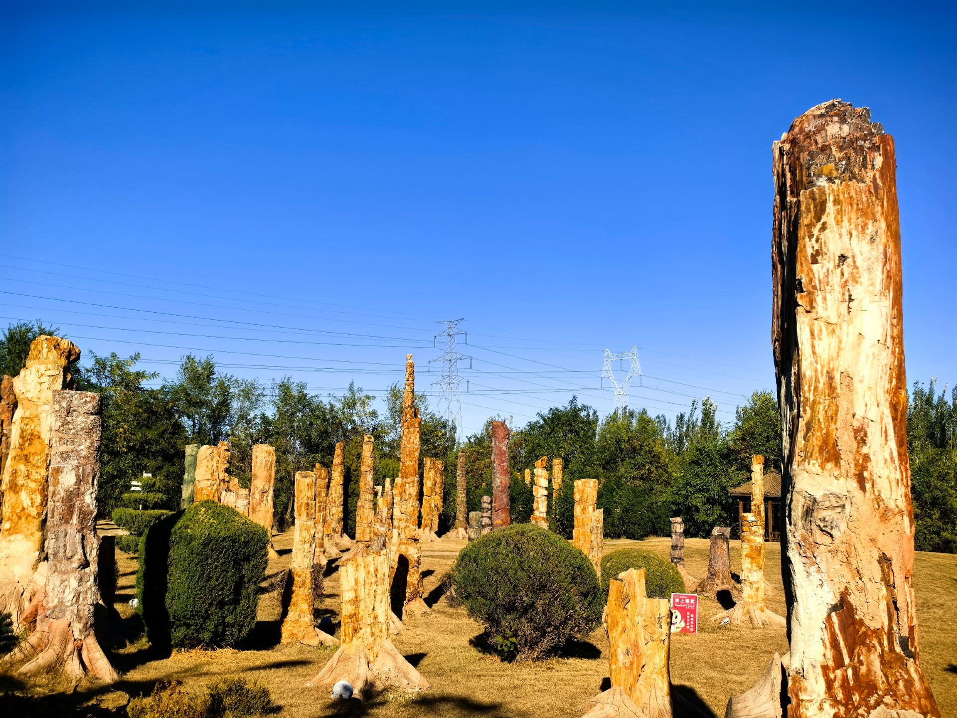 Chaoyang Bird Fossil National Geopark, the ultimate family trip destination!