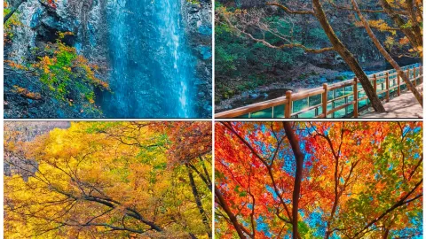 Benxi: zero bad reviews, must-visit in October, four breathtaking destinations — traveler post in Benxi