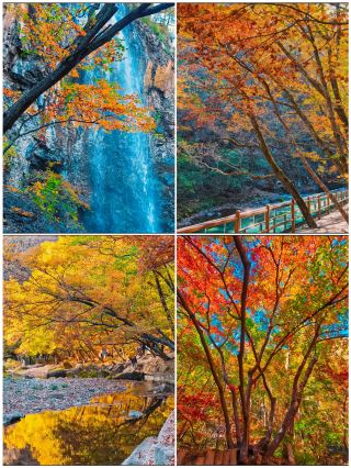 Benxi: zero bad reviews, must-visit in October, four breathtaking destinations