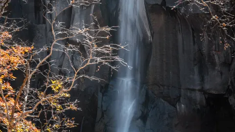 A fleeting encounter with autumn in Changbai Mountain — traveler post in Yanbian