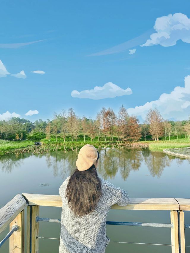 濕地公園冬日美景