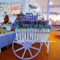 Beautiful Lavender Farm in Cameron Highlands 
