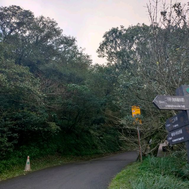 從二子坪走到大屯自然公園