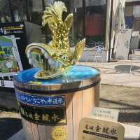 名古屋城外的美食街【金鯱橫丁】