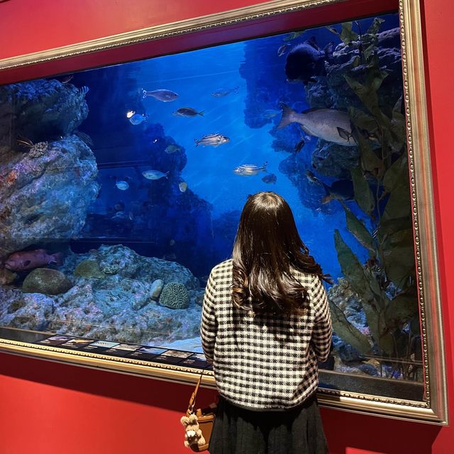 테마가 다양한 코엑스 아쿠아리움🐠🫧