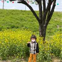 충남 가볼만한 곳 - 해미읍성