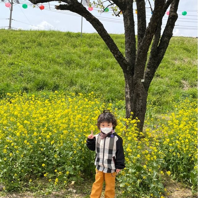 충남 가볼만한 곳 - 해미읍성