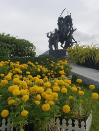สวนสาธารณะสมเด็จพระเจ้าตากสินมหาราช ( ทุ่งนาเชย ) 