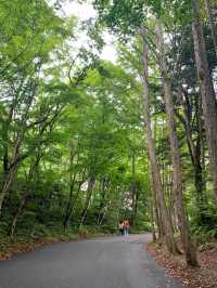 軽井沢の涼しい自然の中に佇む温かい教会🌲