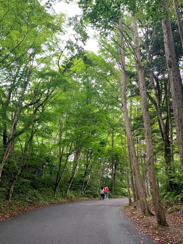 軽井沢の涼しい自然の中に佇む温かい教会🌲