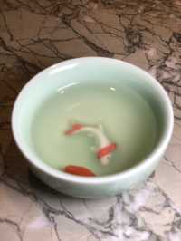 打卡餐廳最佳之選📸️