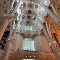 La Sagrada Familia 🇪🇸 Barcelona Spain