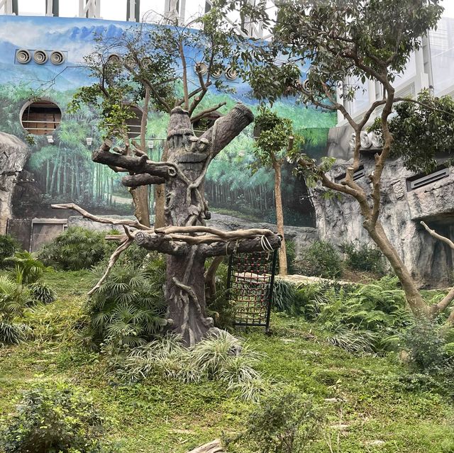 Macao Giant Panda Pavilion