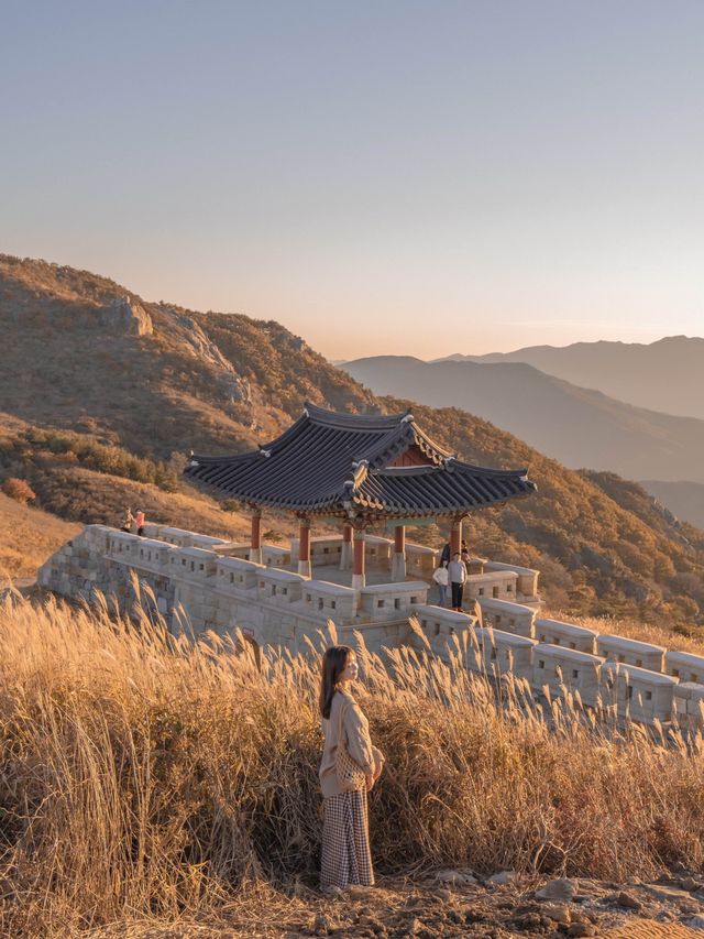 양털로 뒤덮인 것 같은 황매산🐑