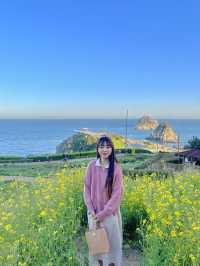 오륙도 해맞이공원 유채꽃밭, 봄과 여름에 가장 예쁜 곳 💚