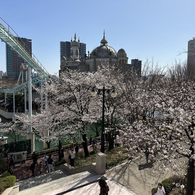 매직아일랜드와 벚꽃의 환상적인 콜라보, 석촌호수 벚꽃축제 🌸