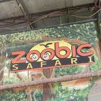 A Superb Experience in Zoobic Safari Subic