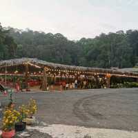 Delicious Thai Food in the Forest view, KL