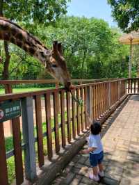 深圳動物園一天遊