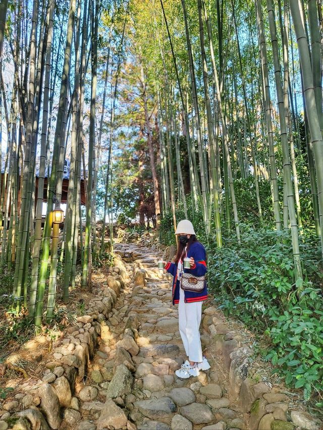 윤스테이 촬영지로 더 유명해진 구례 쌍산재🤎