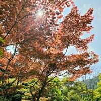 大河內山莊