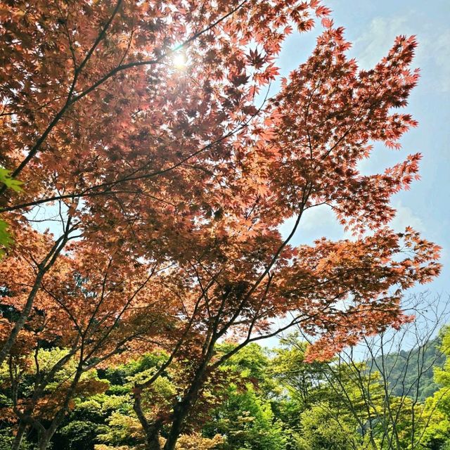 大河內山莊