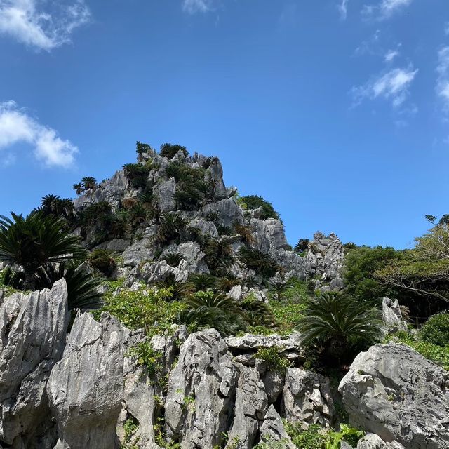 【沖縄県】やんばる世界自然遺産　大石林山！