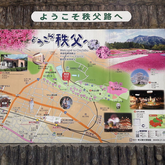 東京近郊景點 – 秩父羊山公園