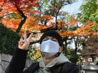 เที่ยวคนเดียว ใบไม้เปลี่ยนสี เกียวโต🍁🍁